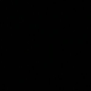 Meet your Posher, Faith